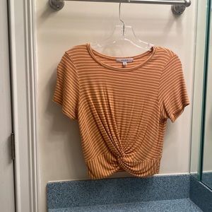 Family/School Appropriate Crop Top